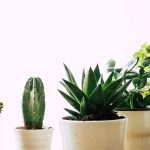 footer background