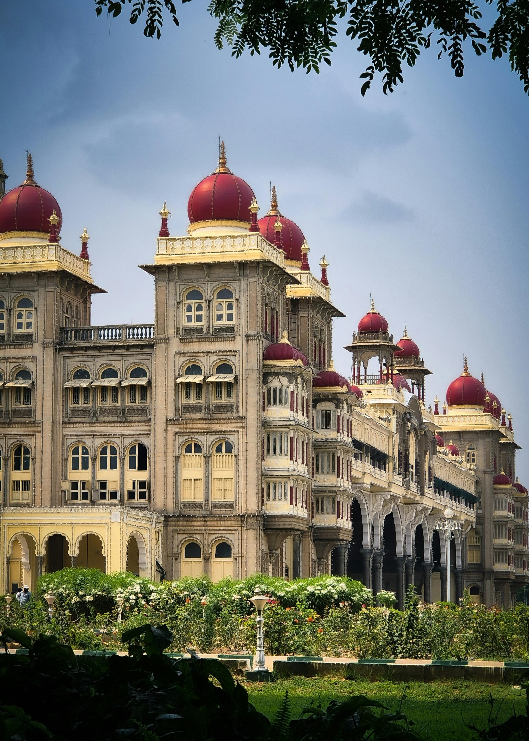 pexels arjun venugopal 55232408 31778840